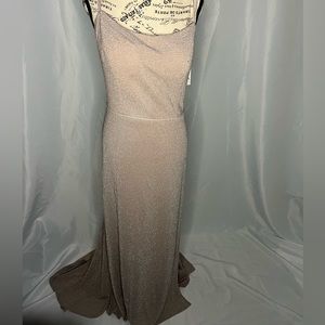 Mettalic nude gown